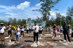 Loka POM Belitung menanam 215 batang kayu putih