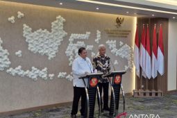 Dianggap mandek, Menko Airlangga pastikan 58 PSN bakal tetap berjalan