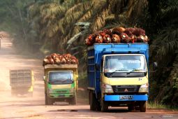Pengamat sebut kehadiran bursa sawit dukung iklim usaha