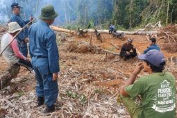 Kepala desa dan tokoh masyarakat ditangkap diduga rambah hutan konservasi
