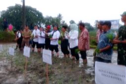 Mentan jamin stok pangan nasional relatif aman
