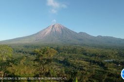 Aktivitas Gunung Semeru alami gempa letusan dan guguran