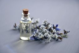 Menghirup aroma kayu cendana dapat kurangi kecemasan dan stress