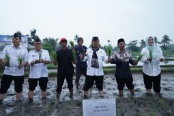 Gerakan percepatan tanam guna antisipasi dampak El Nino