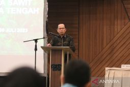 Bangka Tengah optimalkan program sarpras tingkatkan produksi sawit