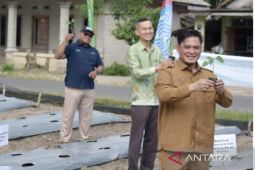 Pemkab Bangka Barat kembangkan agrobisnis holtikultura