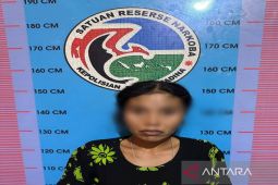 Jadi pengedar sabu seorang IRT di Pidoli Dolok ditangkap Polisi