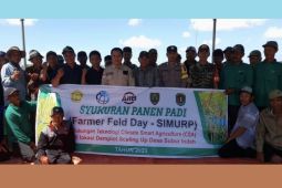 Produksi padi program CSA SIMURP di Katingan meningkat