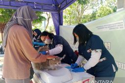 Hewan peliharaan di Situbondo mulai divaksinasi anti-rabies
