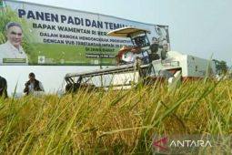 Pemkab Purwakarta tetap jaga produktivitas padi di tengah ancaman El Nino
