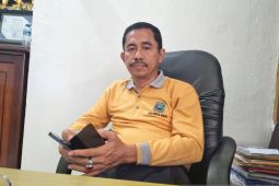 Dinkes Manokwari-Unicef kolaborasi wujudkan eliminasi malaria