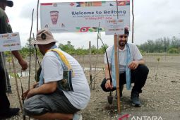 Delegasi Uni Emirate Arab tanam mangrove di Belitung