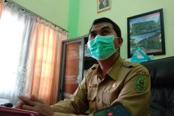 Dinkes tangani sebaran wabah DBD di 19 Puskesmas Trenggalek