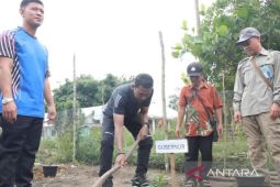 Pj Gubernur Babel galakkan penanaman alpukat