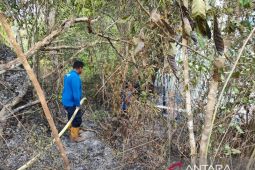 Lahan seluas 16 hektare di Aceh Besar terbakar