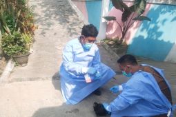 Ada unggas mati mendadak, Pemkab Lebak turun tangan