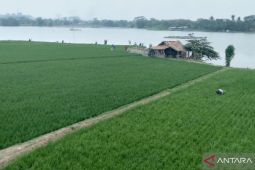 Pemkab Purwakarta: Jaga pasokan air agar tidak gagal panen