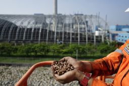 PLN turunkan emisi hingga 429 ribu ton CO2 lewat teknologi co-firing