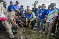 Penanaman bibit pohon di Pantai Palangpang