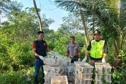 Polisi bersama BKSDA melepasliarkan burung hasil sitaan di di hutan kawasan Way Pisang Register 3