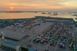 Semester I/2023, Terminal Petikemas catat kenaikan arus internasional