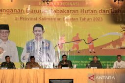 BNPB: Karhutla di Kalsel belum tergolong mengkhawatirkan