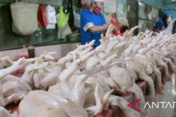 Pedagang di Karawang keluhkan kenaikan harga daging ayam