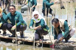 Gubernur Khofifah: Ayo sedekah oksigen dengan menanam mangrove
