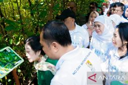 Khofifah optimistis Kebun Raya Mangrove berdampak kesejahteraan