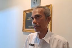 Babel lindungi pelapor kekerasan terhadap anak