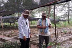 Hkm Seberang Bersatu gerakkan ekonomi masyarakat pesisir melalui mangrove