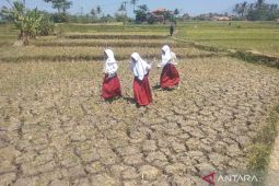 Dispertan Garut siapkan asuransi tani minimalkan kerugian dampak kemarau