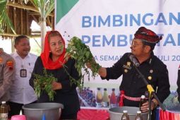 Mentan ajak petani gunakan larutan biosaka yang dibuat sendiri kurangi pupuk kimia