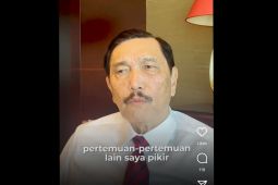 Luhut target desain tata kota IKN selesai enam bulan