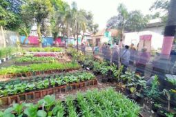 DKPP catat ada 375 titik pertanian kota di Kota Bandung