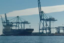 Tertarik magang Magenta BUMN? berikut syarat dan gajinya, klik https://magenta.bumn.go.id