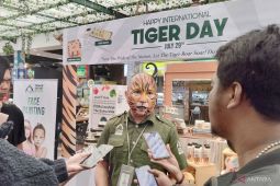 Taman Safari Indonesia semarakkan Tiger Day dengan lukis wajah bergaya harimau