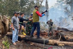 Wali Kota Singkawang pantau lokasi Karhutla di Sungai Mahakam
