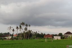 BMKG ungkap suhu dingin di Bali dipengaruhi angin dari Australia