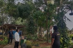 Angkot tertimpa pohon, pemilik kendaraan diminta ajukan klaim