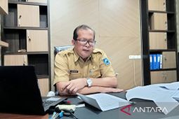 DPM-PTSP: Investasi Papua Barat semester I 2023 capai Rp970,1 miliar