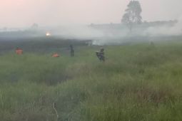 Tujuh kecamatan di HSS terdampak karhutla
