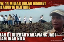 Lahan 16 hektar di Cilebar Karawang, disulap jadi kolam nila