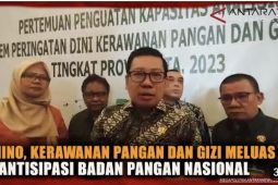 El Nino, ancaman kerawanan pangan dan gizi meluas