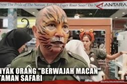 Tiger Day, pengunjung Taman Safari "berwajah macan"