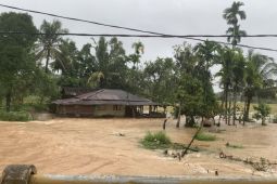 Video - Empat wilayah di Sumbar terdampak bencana hidrometeorologi