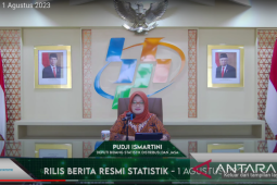 Transportasi jadi penyumbang terbesar inflasi 0,21 persen pada Juli 2023