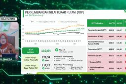 Nilai Tukar Petani Juli 2023 naik 0,21 persen