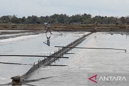 Harga garam rakyat anjlok, Petani minta PT Garam kendalikan harga beli garam