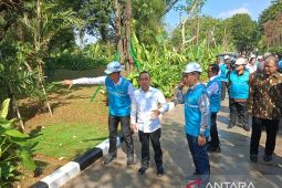 Listrik Istana direvitalisasi jadi lebih modern dan hijau